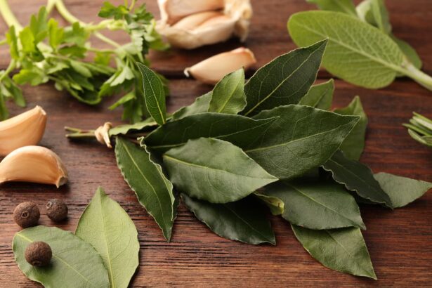 feuille de laurier danq les tiroirs de cuisine